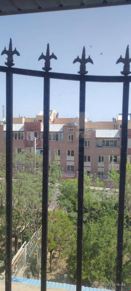 فاز صفر
