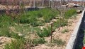 باغچه500متری اتوبان ساوه